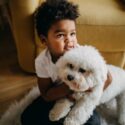 5 friendly breeds of dogs for your kids - Haybo Wena SA