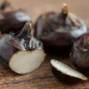 5 health benefits of water chestnuts you should know! - Haybo Wena SA