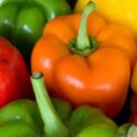 4 types of bell peppers and how they differ in nutrition - Haybo Wena SA